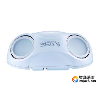 海灣HW-ZFJC-E6W-SN661集中電源集中控制型消防應急照明燈具