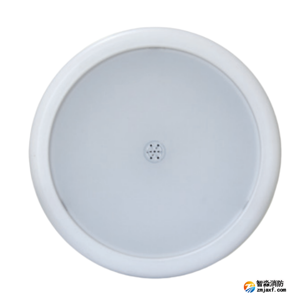 海灣HW-ZFJC-E15W-N654SG集中電源集中控制型消防應(yīng)急照明燈具