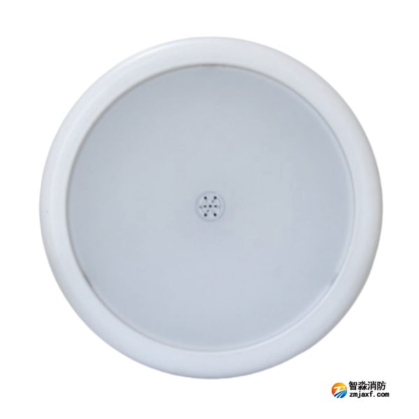 海灣HW-ZFJC-E18W-N655SG集電集控型消防應(yīng)急照明燈具