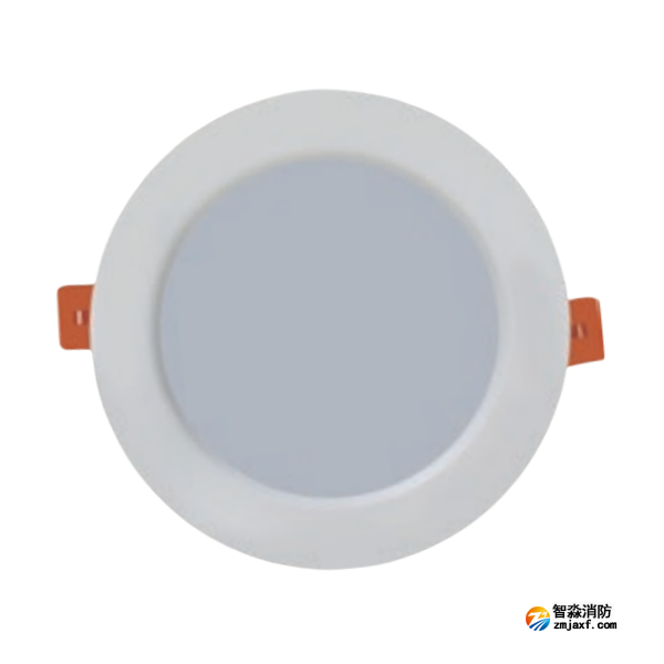 海灣HW-ZFJC-E6W-VN651消防應(yīng)急照明燈