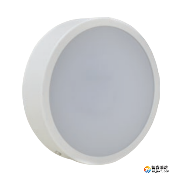 海灣HW-ZFJC-E6W-VN651C消防應(yīng)急照明燈