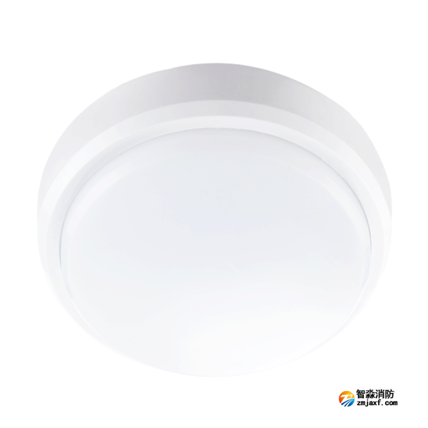 青鳥J-ZFJC-E5W-17X2集中電源集中控制型消防應(yīng)急照明燈具(吸頂)