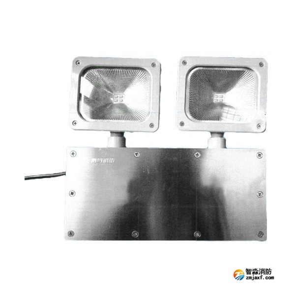 青鳥J-ZFJC-E5W-17B3集中電源集中控制型消防應(yīng)急照明燈具