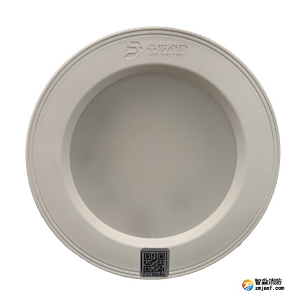 青鳥(niǎo)J-ZFJC-E5W-17Z7A集中電源集中控制型消防應(yīng)急照明燈具