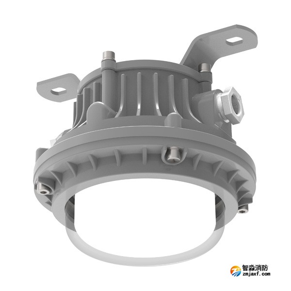 青鳥(niǎo)J-ZFJC-E3W-16X4-Ex集中電源集中控制型消防應(yīng)急照明燈具 防爆 吸頂燈