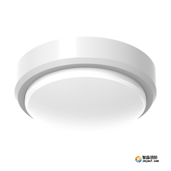 青鳥J-ZFJC-E8W-17X3A集中電源集中控制型消防應(yīng)急照明燈具