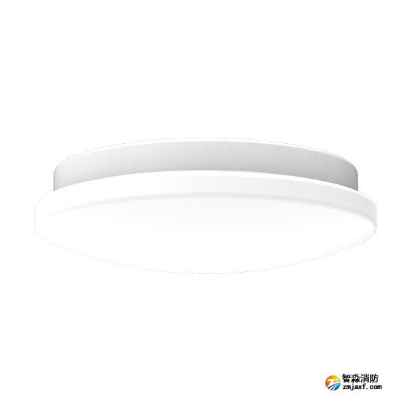 青鳥J-ZFJC-E12W-16X8LA集中電源集中控制型消防應(yīng)急照明燈具