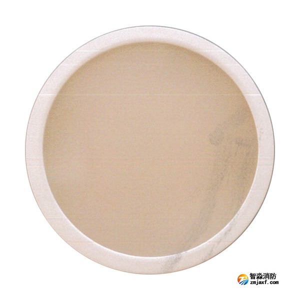 青鳥J-ZFJC-E8W-17Z13LA集中電源集中控制型消防應急照明燈具