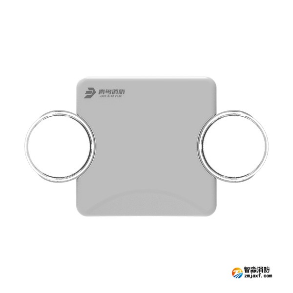 青鳥J-ZFJC-E6W-17B6LA集中電源集中控制型消防應急照明燈具