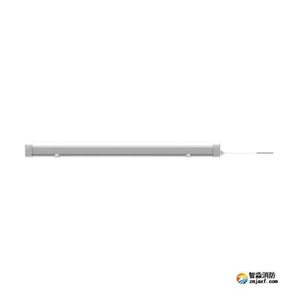 青鳥J-ZFJC-E5W-17Z3A集中電源集中控制型消防應急照明燈具