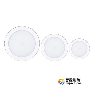 利達X4000系列（吸頂式）集中電源集中控制型消防應(yīng)急照明燈具