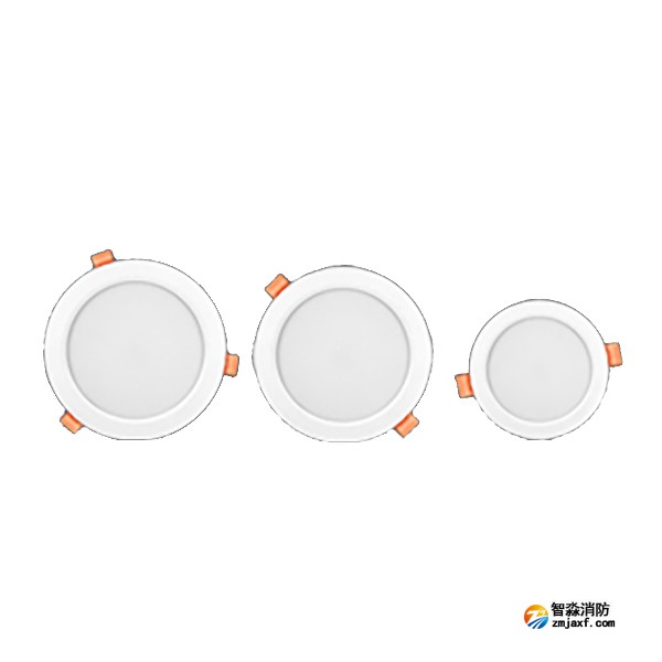 利達Q4000系列（嵌頂式）集中電源集中控制型消防應(yīng)急照明燈具
