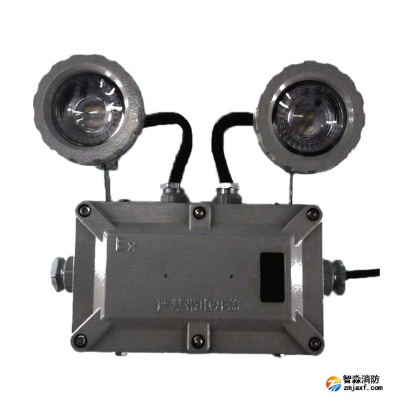 利達(dá)LD-ZFJC-E6W-B4200Ex集中電源集中控制型消防應(yīng)急照明燈具