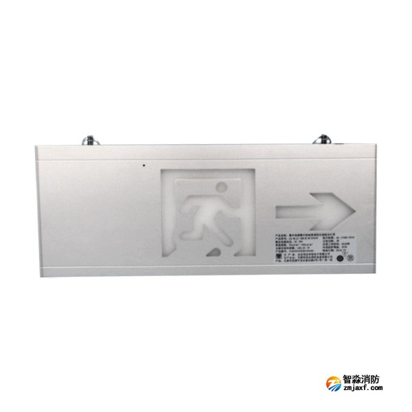 利達(dá)LD-BLJC-2RE II 1W-D3005集中電源集中控制型消防應(yīng)急標(biāo)志燈具