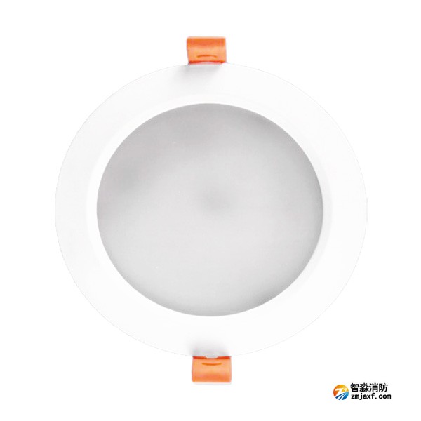 利達(dá)LD-ZFJC-E5W-Q4004A集中電源集中控制型消防應(yīng)急照明燈具