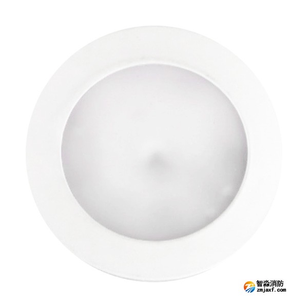 利達(dá)LD-ZFJC-E5W-X4001A集中電源集中控制型消防應(yīng)急照明燈具