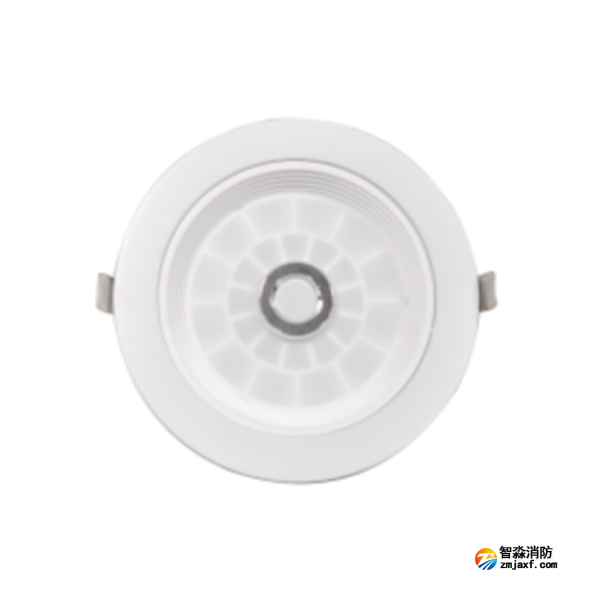 泰和安TS-ZFJC-E3W-6610A集中電源集中控制型消防應(yīng)急照明燈具