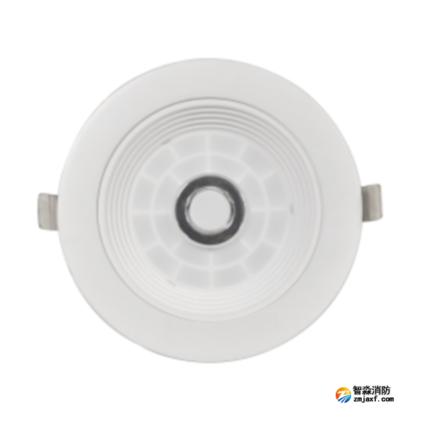 泰和安TS-ZFJC-E8W-6611A集中電源集中控制型消防應(yīng)急照明燈具 嵌入式