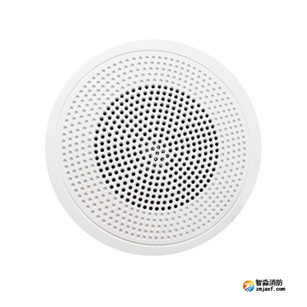 泰和安MSYX-02明裝吸頂式消防廣播音箱