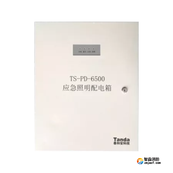 泰和安TS-PD-6500應急照明配電箱