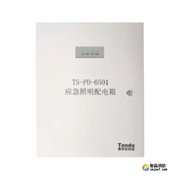 泰和安TS-PD-6501應急照明配電箱