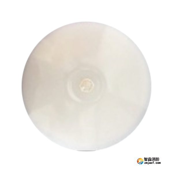 泰和安TS-ZLZC-E8W-6643G自帶蓄電池集中控制型消防應急照明燈具 吸頂式