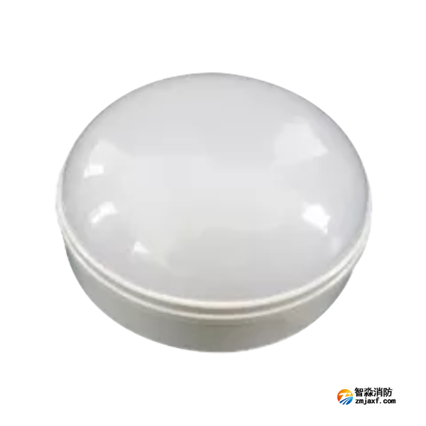 泰和安TS-ZLZC-E3W-6642G自帶蓄電池集中控制型消防應急照明燈具 吸頂式