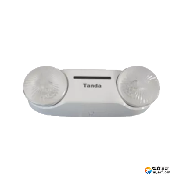 泰和安TS-ZLZC-E5W-6650自帶蓄電池集中控制型消防應急照明燈具 壁掛式