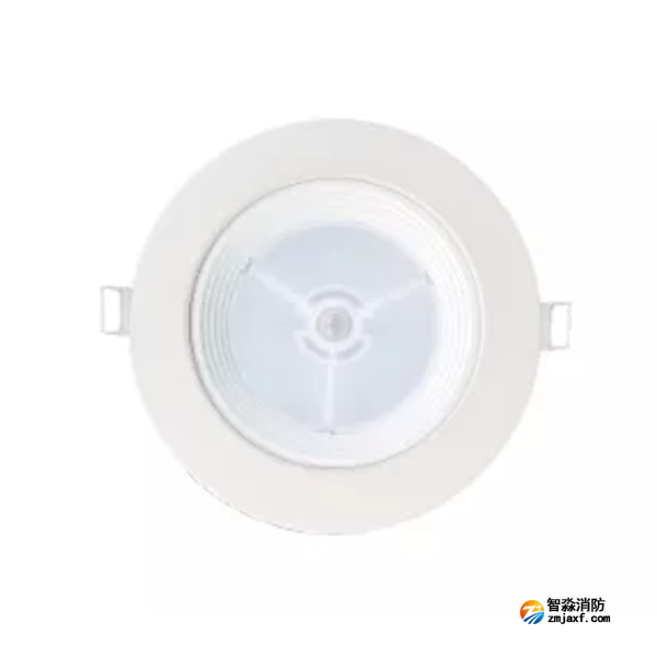 泰和安TS-ZFJC-E12W-6612B集中電源集中控制型消防應急照明燈具 嵌頂式