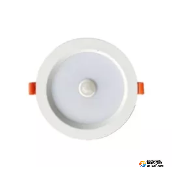 泰和安TS-ZFJC-E5W-6624G集中電源集中控制型消防應急照明燈具 嵌頂式