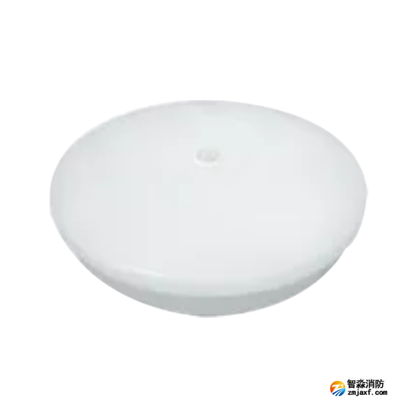 泰和安TS-ZFJC-E12W-6628G集中電源集中控制型消防應急照明燈具吸頂式