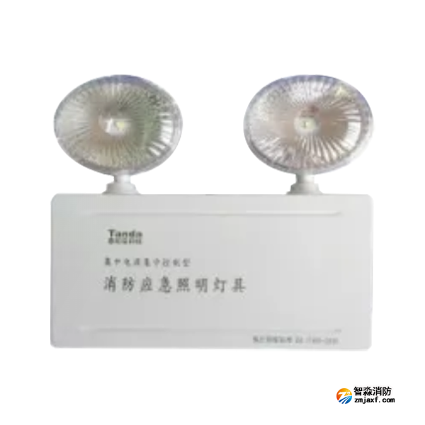 泰和安TS-ZFJC-E3W-6600A/TS-ZFJC-E5W-6600B集中電源集中控制型消防應急照明燈具 金屬雙頭燈