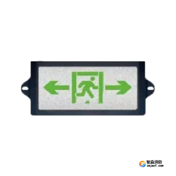 泰和安TS-BLJC-1LROEⅠ0.5W-6483集中電源集中控制型消防應急標志燈具 隧道標志燈