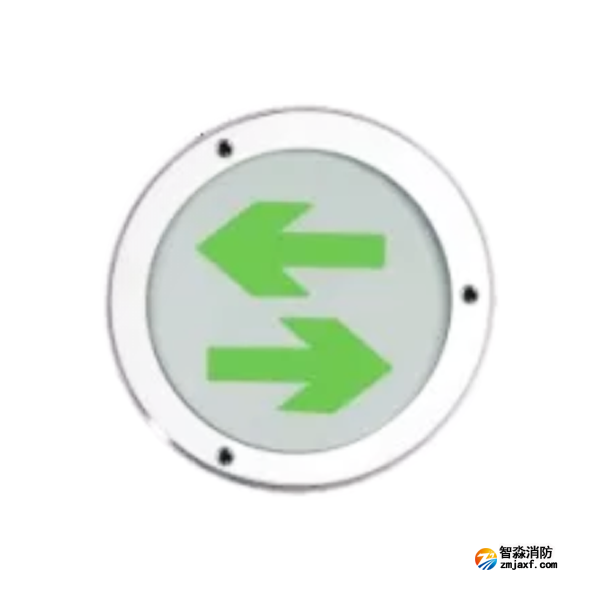 泰和安TS-BLJC-1LREⅠ0.5W-6402A/TS-BLJC-1LEⅠ0.5W-6401A集中電源集中控制型消防應(yīng)急標(biāo)志燈具 地埋標(biāo)志燈