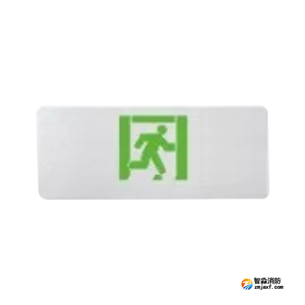 泰和安TS-BLJC-2LROEⅡ1W-6475集中電源集中控制型消防應(yīng)急標(biāo)志燈具 超薄金屬吊裝式