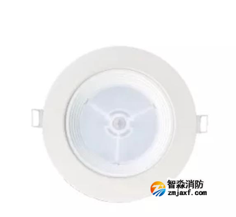 泰和安TS-ZFJC-E5W-6616B集中電源集中控制型消防應(yīng)急照明燈具 嵌頂式