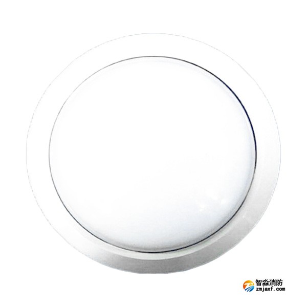 泰和安TS-ZFJC-E3W-6615B集中電源集中控制型消防應(yīng)急照明燈具（吸頂式）