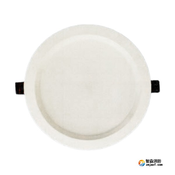 泰和安TS-ZFJC-E12W-6668L集中電源集中控制型消防應(yīng)急照明燈具 雷達(dá)感應(yīng) 嵌入式