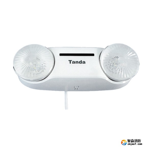 泰和安TS-ZFJC-E5W-6601B集中電源集中控制型消防應急照明燈具