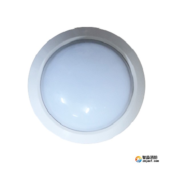 泰和安TS-ZFJC-E3W-6615A集中電源集中控制型消防應急照明燈具（吸頂式）