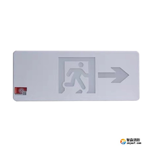 泰和安TS-BLJC-1REⅡ1W-6465R集中電源集中控制型消防應急標志燈具（塑料壁掛式）