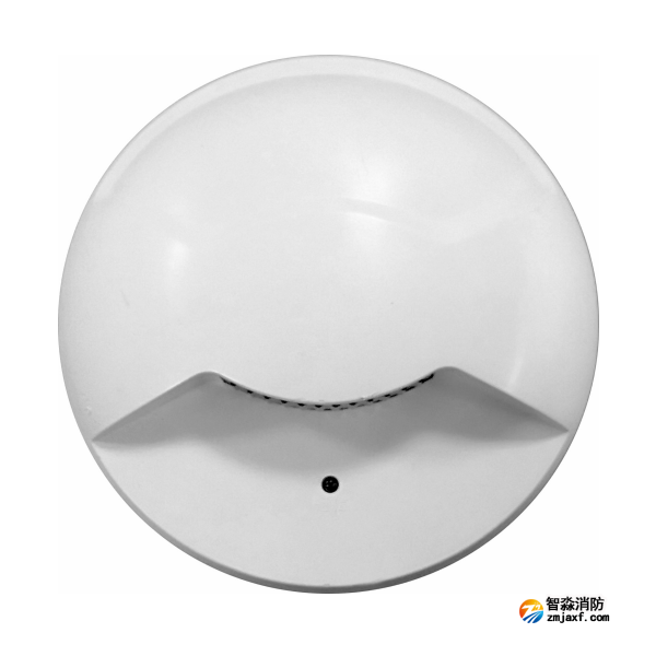 依愛EI-ZFJC-E2W-5405B-2集中電源集中控制型消防應(yīng)急照明燈具