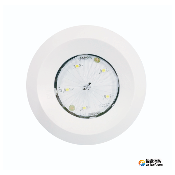 依愛EI-ZFJC-E3W-8643X集中電源集中控制型消防應(yīng)急照明燈具