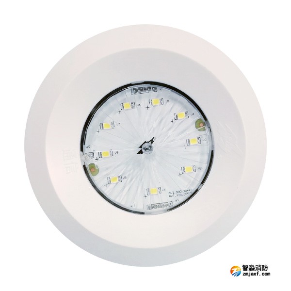 依愛(ài)EI-ZFJC-E5W-8645NX集中電源集中控制型消防應(yīng)急照明燈具