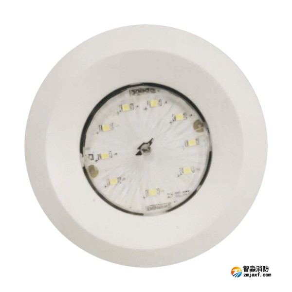 依愛EI-ZFJC-E5W-8645X集中電源集中控制型消防應(yīng)急照明燈具 吸頂