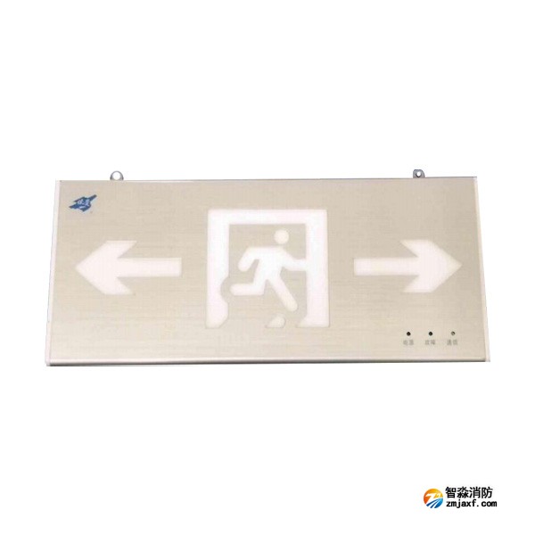 依愛EI-BLJC-2LREI1W-8638D集中電源集中控制型消防應(yīng)急標(biāo)志燈具 雙面雙向 吊裝