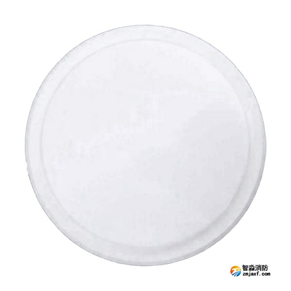 依愛EI-ZFJC-E5W-8645NXLD集中電源集中控制型消防應(yīng)急照明燈具 雷達(dá)感應(yīng) 吸頂