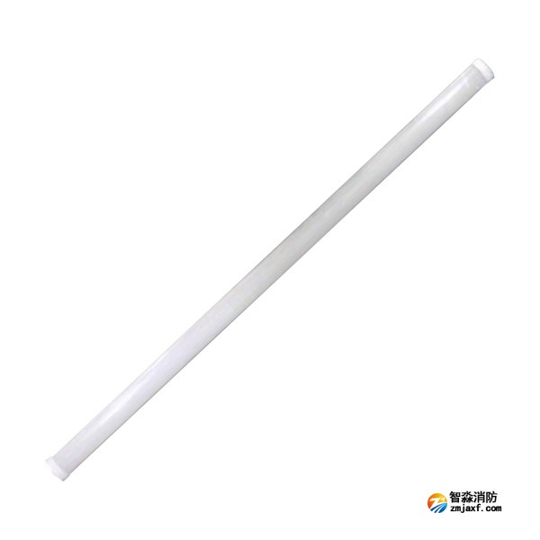 依愛EI-ZFJC-E16W-8616NG集中電源集中控制型消防應(yīng)急照明燈具 燈管