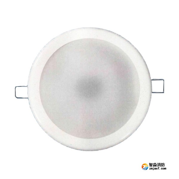 依愛EI-ZFJC-E8W-8648BQ集中電源集中控制型消防應(yīng)急照明燈具 嵌頂式