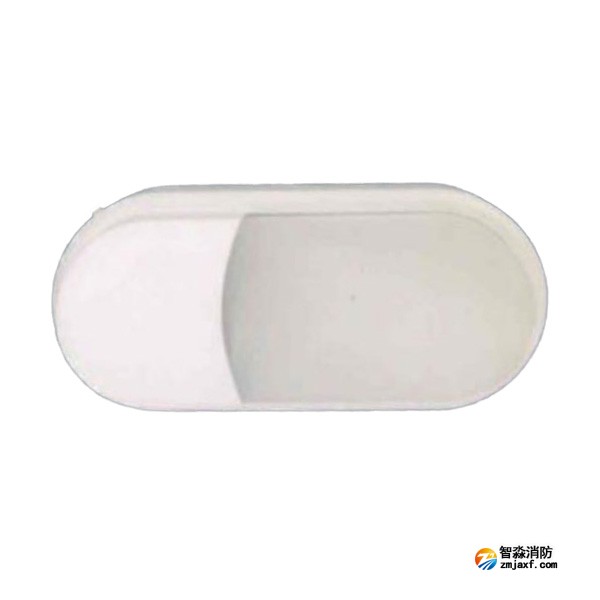 依愛EI-ZFJC-E8W-8648NB集中電源集中控制型消防應(yīng)急照明燈具 壁掛